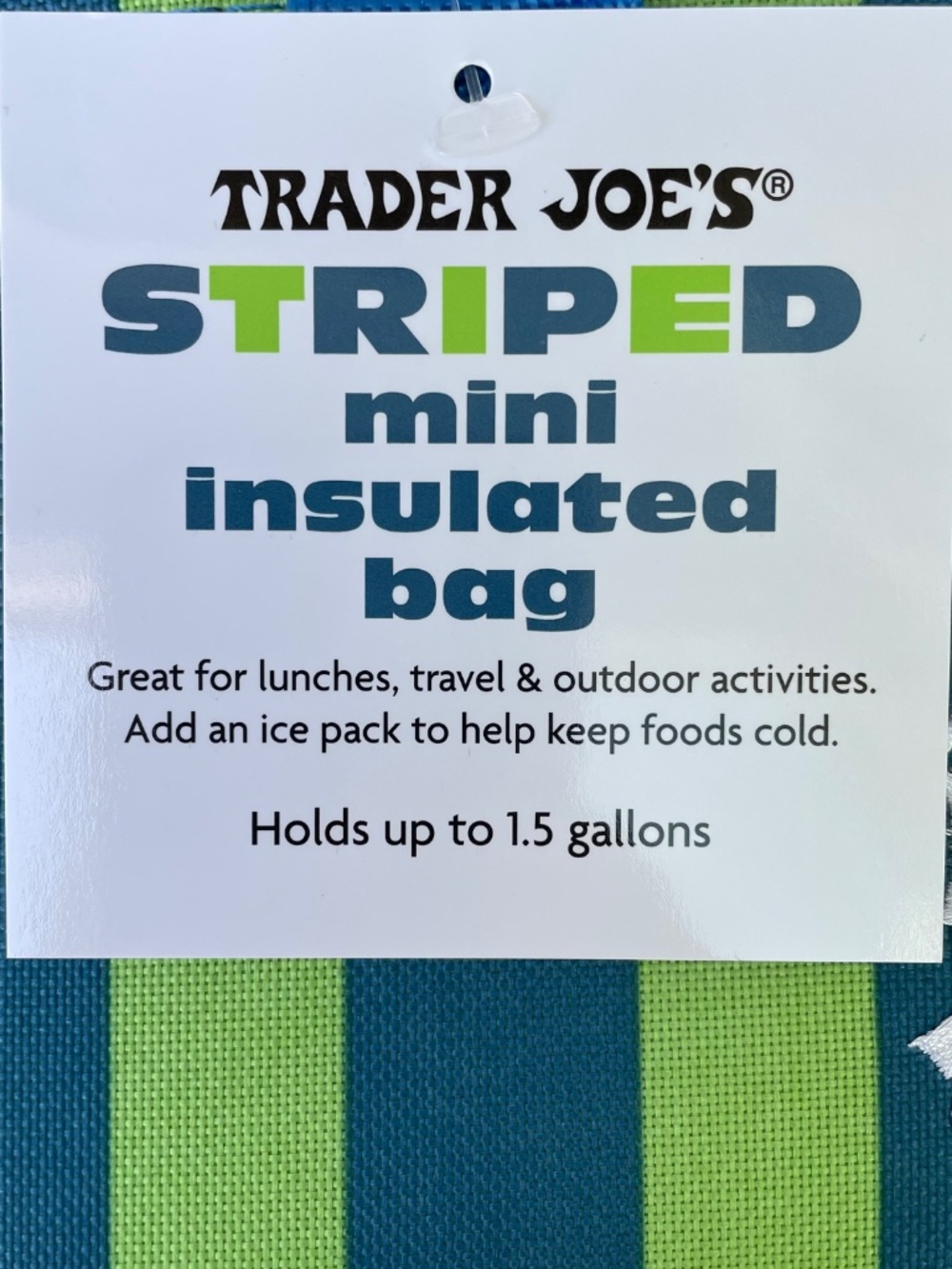 Trader Joe's Blue Green Striped Insulated Mini Tote Lunch Bag - Picture 5 of 7